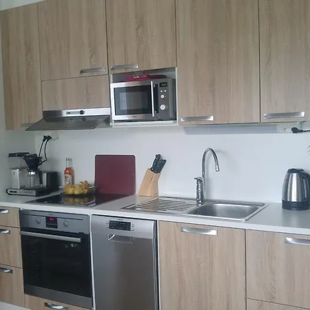 Paehkinaepuisto Apartman *