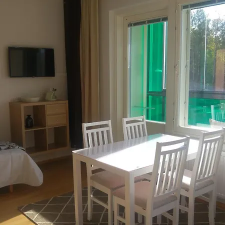 Paehkinaepuisto Apartman *