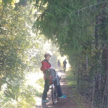 Paehkinaepuisto Apartman