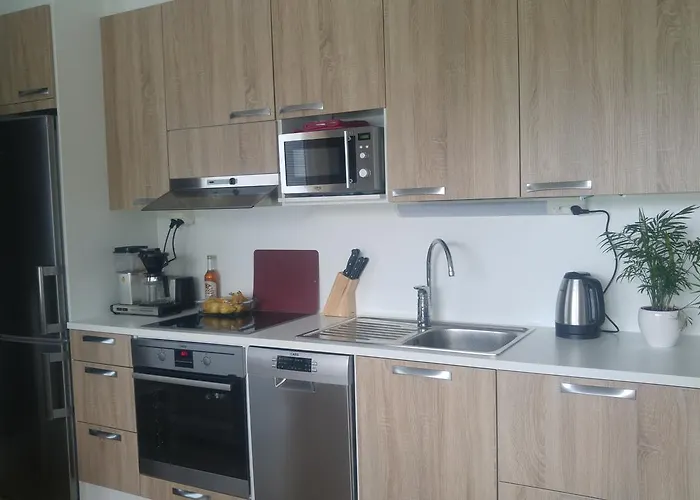 Paehkinaepuisto Appartamento *