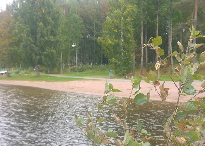 Paehkinaepuisto *