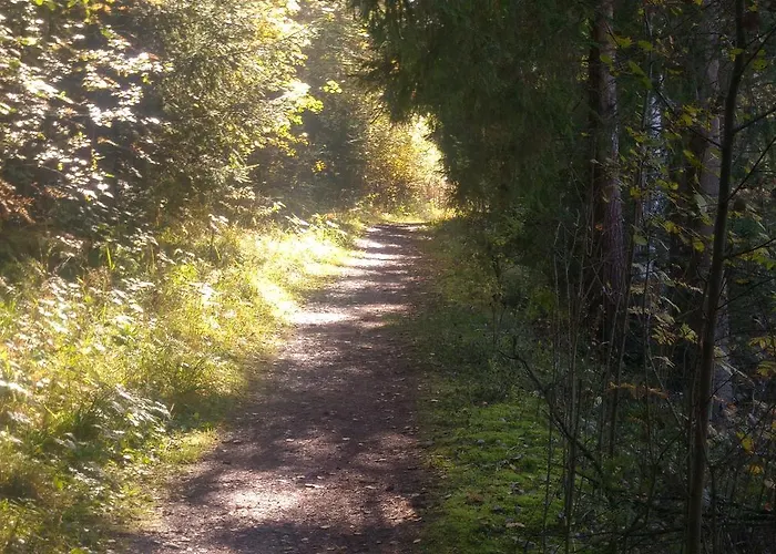 Lägenhet Paehkinaepuisto Tammerfors