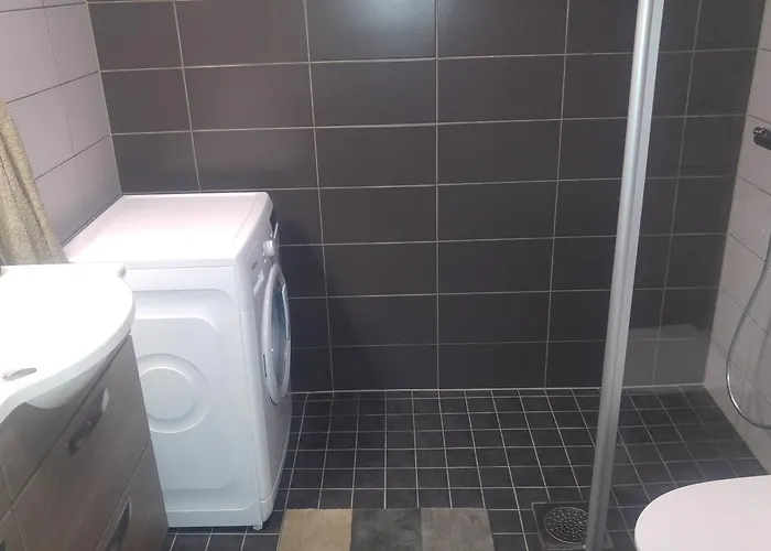 Paehkinaepuisto Tampere