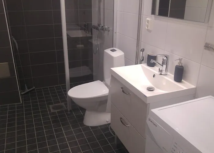 Paehkinaepuisto * Tampere